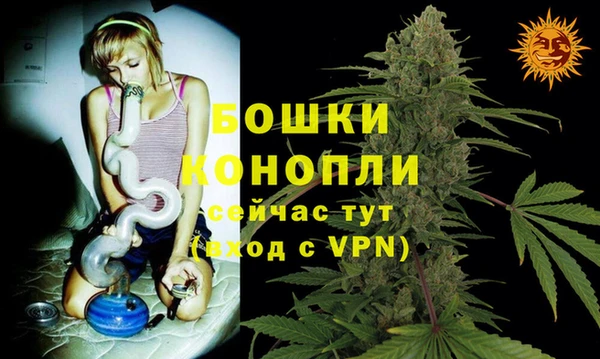 шишки Покров